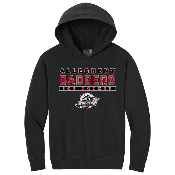 Allegheny Badgers Youth Lightweight Hooded Sweatshirt