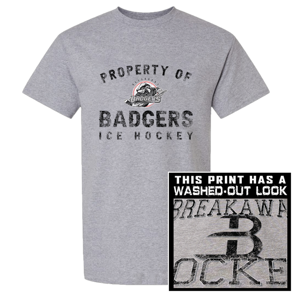Allegheny Badgers Premium Short Sleeve Tee